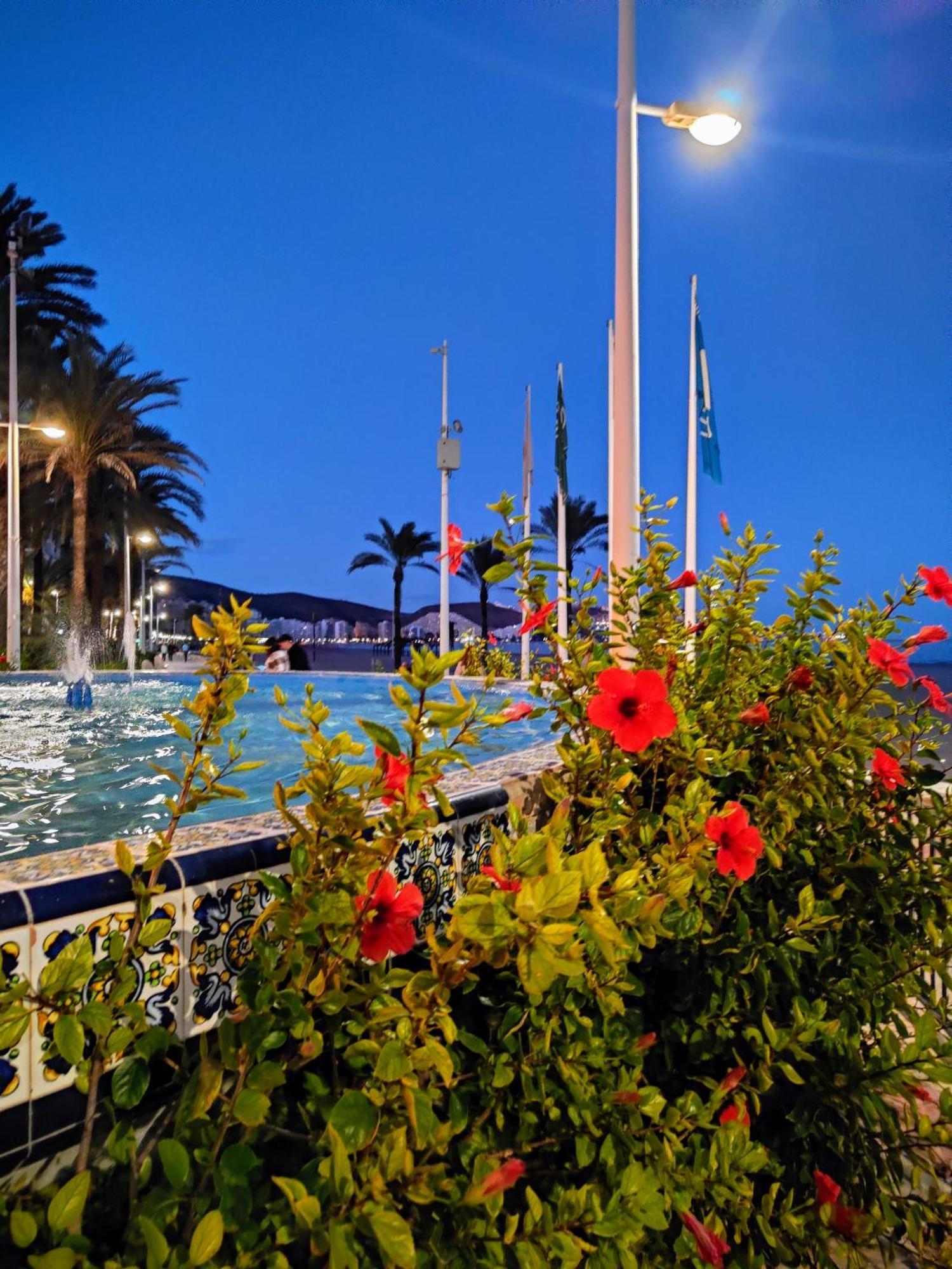Cullera Confort Playa Dış mekan fotoğraf